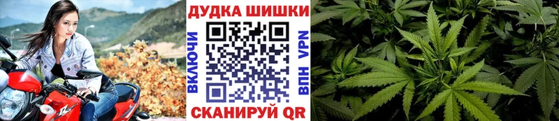 Конопля Bruce Banner Лодейное Поле