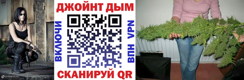 МАРИХУАНА конопля  Лодейное Поле 